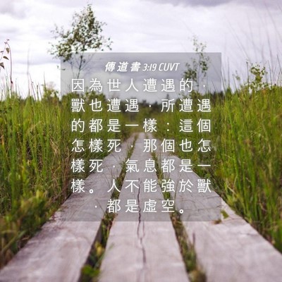 Picture 04 - 傳 道 書 3:19 CUVT - 因 為 世 人 遭 遇 的 ， 獸 也 遭 遇 - Bible Verse Picture
