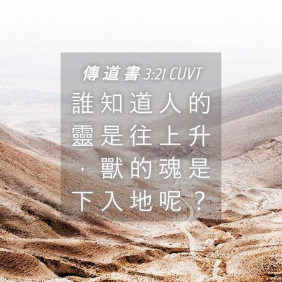 Picture 04 - 傳 道 書 3:21 CUVT - 誰 知 道 人 的 靈 是 往 上 升 ， 獸 - Bible Verse Picture