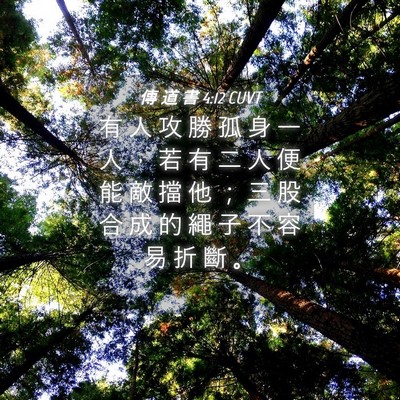 Picture 04 - 傳 道 書 4:12 CUVT - 有 人 攻 勝 孤 身 一 人 ， 若 有 二 - Bible Verse Picture