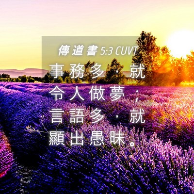 Picture 04 - 傳 道 書 5:3 CUVT - 事 務 多 ， 就 令 人 做 夢 ； 言 語 - Bible Verse Picture
