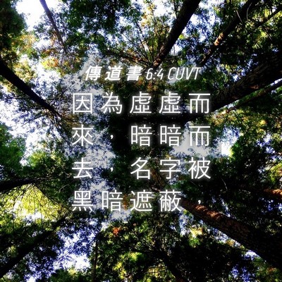 Picture 04 - 傳 道 書 6:4 CUVT - 因 為 虛 虛 而 來 ， 暗 暗 而 去 ， - Bible Verse Picture