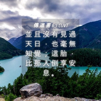 Picture 04 - 傳 道 書 6:5 CUVT - 並 且 沒 有 見 過 天 日 ， 也 毫 無 - Bible Verse Picture