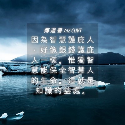 Picture 04 - 傳 道 書 7:12 CUVT - 因 為 智 慧 護 庇 人 ， 好 像 銀 錢 - Bible Verse Picture