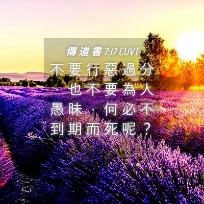Picture 04 - 傳 道 書 7:17 CUVT - 不 要 行 惡 過 分 ， 也 不 要 為 人 - Bible Verse Picture