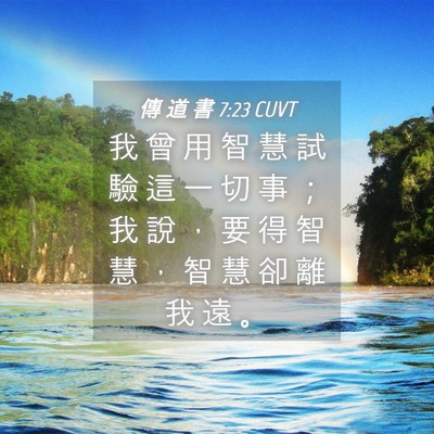 Picture 04 - 傳 道 書 7:23 CUVT - 我 曾 用 智 慧 試 驗 這 一 切 事 ； - Bible Verse Picture