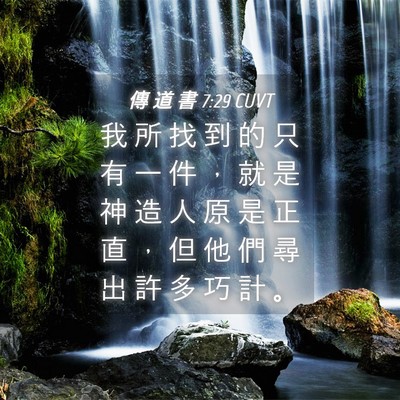 Picture 04 - 傳 道 書 7:29 CUVT - 我 所 找 到 的 只 有 一 件 ， 就 是 - Bible Verse Picture