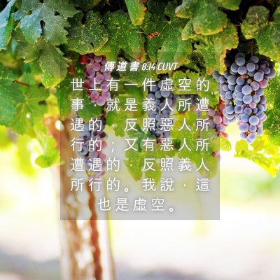 Picture 04 - 傳 道 書 8:14 CUVT - 世 上 有 一 件 虛 空 的 事 ， 就 是 - Bible Verse Picture