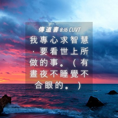 Picture 04 - 傳 道 書 8:16 CUVT - 我 專 心 求 智 慧 ， 要 看 世 上 所 - Bible Verse Picture