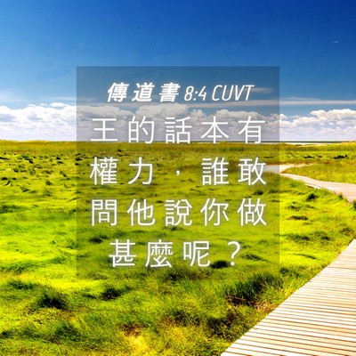Picture 04 - 傳 道 書 8:4 CUVT - 王 的 話 本 有 權 力 ， 誰 敢 問 他 - Bible Verse Picture