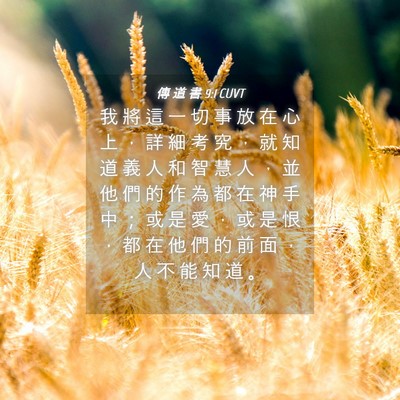 Picture 04 - 傳 道 書 9:1 CUVT - 我 將 這 一 切 事 放 在 心 上 ， 詳 - Bible Verse Picture