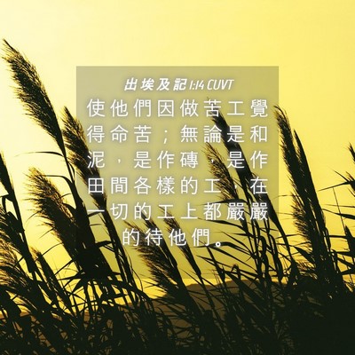 Picture 04 - 出 埃 及 記 1:14 CUVT - 使 他 們 因 做 苦 工 覺 得 命 苦 ； - Bible Verse Picture