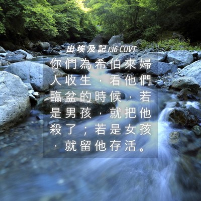 Picture 04 - 出 埃 及 記 1:16 CUVT - 你 們 為 希 伯 來 婦 人 收 生 ， 看 - Bible Verse Picture