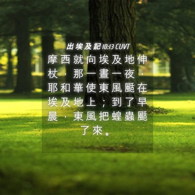 Picture 04 - 出 埃 及 記 10:13 CUVT - 摩 西 就 向 埃 及 地 伸 杖 ， 那 一 - Bible Verse Picture