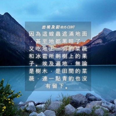 Picture 04 - 出 埃 及 記 10:15 CUVT - 因 為 這 蝗 蟲 遮 滿 地 面 ， 甚 至 - Bible Verse Picture