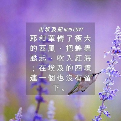 Picture 04 - 出 埃 及 記 10:19 CUVT - 耶 和 華 轉 了 極 大 的 西 風 ， 把 - Bible Verse Picture