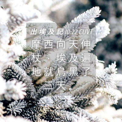 Picture 04 - 出 埃 及 記 10:22 CUVT - 摩 西 向 天 伸 杖 ， 埃 及 遍 地 就 - Bible Verse Picture