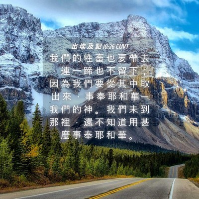 Picture 04 - 出 埃 及 記 10:26 CUVT - 我 們 的 牲 畜 也 要 帶 去 ， 連 一 - Bible Verse Picture