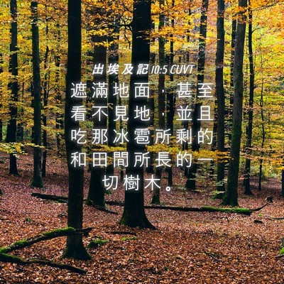 Picture 04 - 出 埃 及 記 10:5 CUVT - 遮 滿 地 面 ， 甚 至 看 不 見 地 ， - Bible Verse Picture