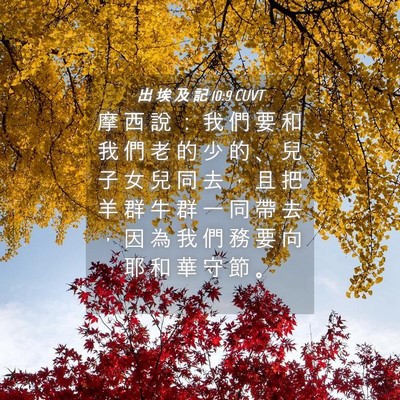 Picture 04 - 出 埃 及 記 10:9 CUVT - 摩 西 說 ： 我 們 要 和 我 們 老 的 - Bible Verse Picture