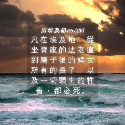 Picture 04 - 出 埃 及 記 11:5 CUVT - 凡 在 埃 及 地 ， 從 坐 寶 座 的 法 - Bible Verse Picture