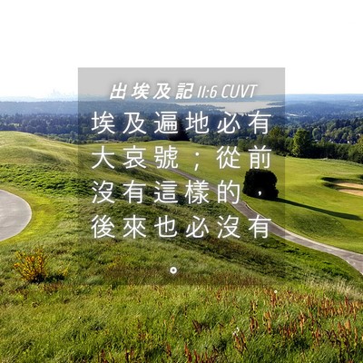 Picture 04 - 出 埃 及 記 11:6 CUVT - 埃 及 遍 地 必 有 大 哀 號 ； 從 前 - Bible Verse Picture
