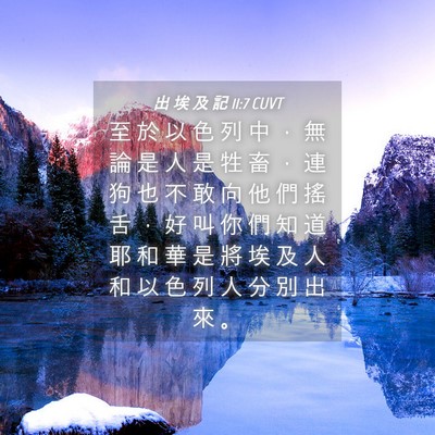 Picture 04 - 出 埃 及 記 11:7 CUVT - 至 於 以 色 列 中 ， 無 論 是 人 是 - Bible Verse Picture