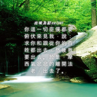 Picture 04 - 出 埃 及 記 11:8 CUVT - 你 這 一 切 臣 僕 都 要 俯 伏 來 見 - Bible Verse Picture