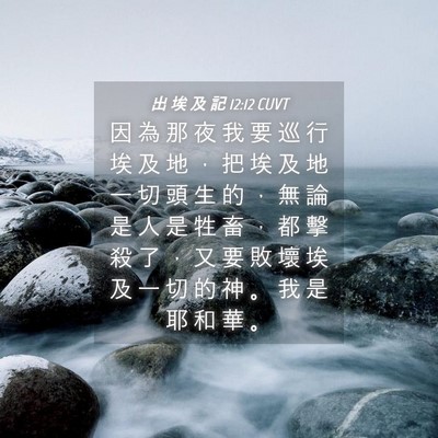 Picture 04 - 出 埃 及 記 12:12 CUVT - 因 為 那 夜 我 要 巡 行 埃 及 地 ， - Bible Verse Picture