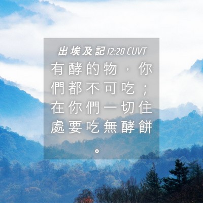 Picture 04 - 出 埃 及 記 12:20 CUVT - 有 酵 的 物 ， 你 們 都 不 可 吃 ； - Bible Verse Picture