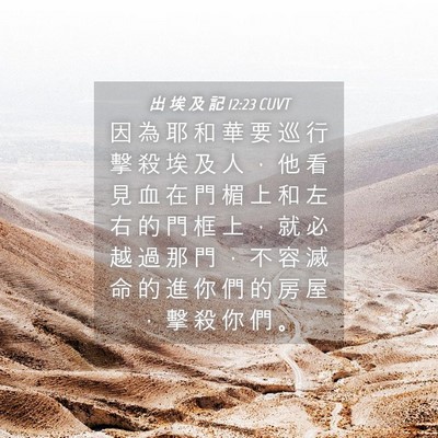 Picture 04 - 出 埃 及 記 12:23 CUVT - 因 為 耶 和 華 要 巡 行 擊 殺 埃 及 - Bible Verse Picture