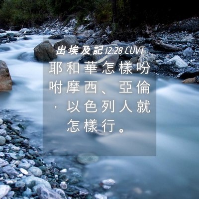 Picture 04 - 出 埃 及 記 12:28 CUVT - 耶 和 華 怎 樣 吩 咐 摩 西 、 亞 倫 - Bible Verse Picture