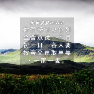 Picture 04 - 出 埃 及 記 12:3 CUVT - 你 們 吩 咐 以 色 列 全 會 眾 說 ： - Bible Verse Picture