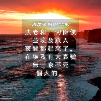 Picture 04 - 出 埃 及 記 12:30 CUVT - 法 老 和 一 切 臣 僕 ， 並 埃 及 眾 - Bible Verse Picture