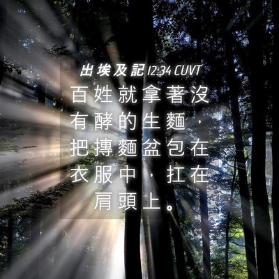 Picture 04 - 出 埃 及 記 12:34 CUVT - 百 姓 就 拿 著 沒 有 酵 的 生 麵 ， - Bible Verse Picture