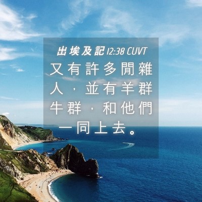 Picture 04 - 出 埃 及 記 12:38 CUVT - 又 有 許 多 閒 雜 人 ， 並 有 羊 群 - Bible Verse Picture