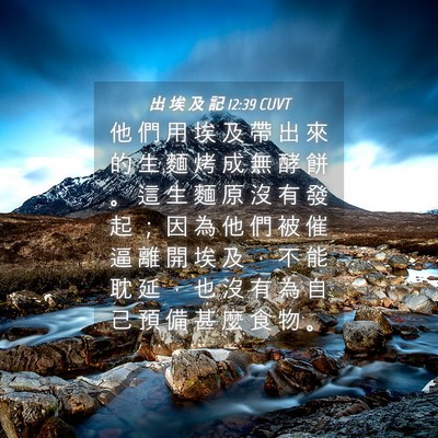 Picture 04 - 出 埃 及 記 12:39 CUVT - 他 們 用 埃 及 帶 出 來 的 生 麵 烤 - Bible Verse Picture