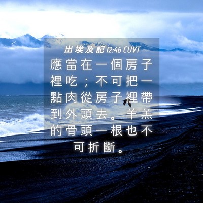 Picture 04 - 出 埃 及 記 12:46 CUVT - 應 當 在 一 個 房 子 裡 吃 ； 不 可 - Bible Verse Picture