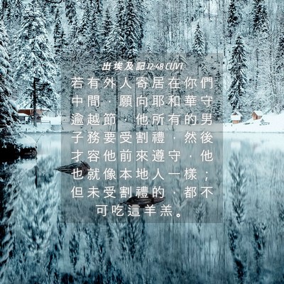 Picture 04 - 出 埃 及 記 12:48 CUVT - 若 有 外 人 寄 居 在 你 們 中 間 ， - Bible Verse Picture