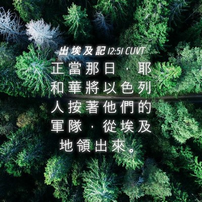 Picture 04 - 出 埃 及 記 12:51 CUVT - 正 當 那 日 ， 耶 和 華 將 以 色 列 - Bible Verse Picture
