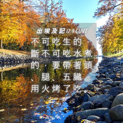Picture 04 - 出 埃 及 記 12:9 CUVT - 不 可 吃 生 的 ， 斷 不 可 吃 水 煮 - Bible Verse Picture