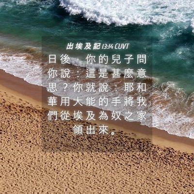 Picture 04 - 出 埃 及 記 13:14 CUVT - 日 後 ， 你 的 兒 子 問 你 說 ： 這 - Bible Verse Picture