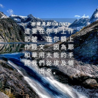 Picture 04 - 出 埃 及 記 13:16 CUVT - 這 要 在 你 手 上 作 記 號 ， 在 你 - Bible Verse Picture