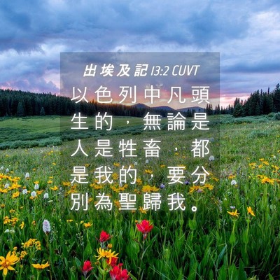 Picture 04 - 出 埃 及 記 13:2 CUVT - 以 色 列 中 凡 頭 生 的 ， 無 論 是 - Bible Verse Picture