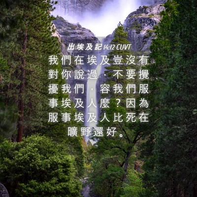 Picture 04 - 出 埃 及 記 14:12 CUVT - 我 們 在 埃 及 豈 沒 有 對 你 說 過 - Bible Verse Picture