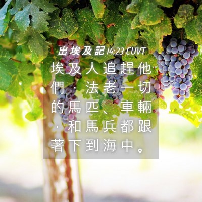 Picture 04 - 出 埃 及 記 14:23 CUVT - 埃 及 人 追 趕 他 們 ， 法 老 一 切 - Bible Verse Picture