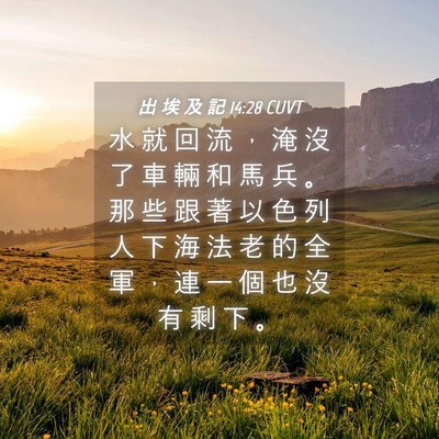 Picture 04 - 出 埃 及 記 14:28 CUVT - 水 就 回 流 ， 淹 沒 了 車 輛 和 馬 - Bible Verse Picture