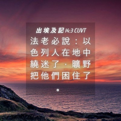 Picture 04 - 出 埃 及 記 14:3 CUVT - 法 老 必 說 ： 以 色 列 人 在 地 中 - Bible Verse Picture