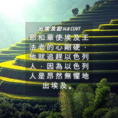 Picture 04 - 出 埃 及 記 14:8 CUVT - 耶 和 華 使 埃 及 王 法 老 的 心 剛 - Bible Verse Picture