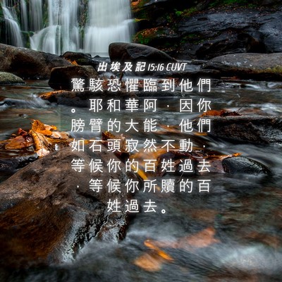 Picture 04 - 出 埃 及 記 15:16 CUVT - 驚 駭 恐 懼 臨 到 他 們 。 耶 和 華 - Bible Verse Picture