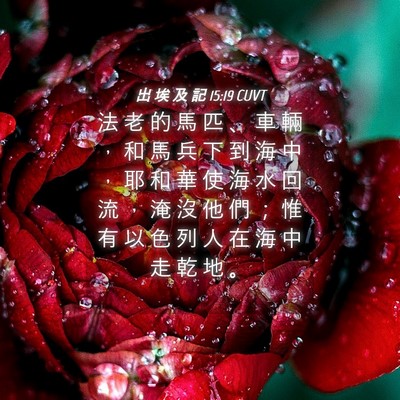 Picture 04 - 出 埃 及 記 15:19 CUVT - 法 老 的 馬 匹 、 車 輛 ， 和 馬 兵 - Bible Verse Picture